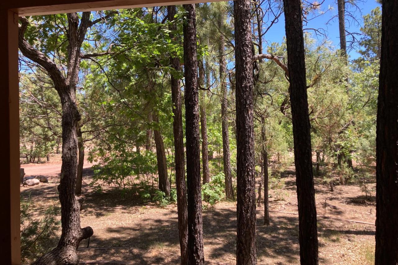 パイントップ・レイクサイド Tranquil Pines Retreatヴィラ エクステリア 写真